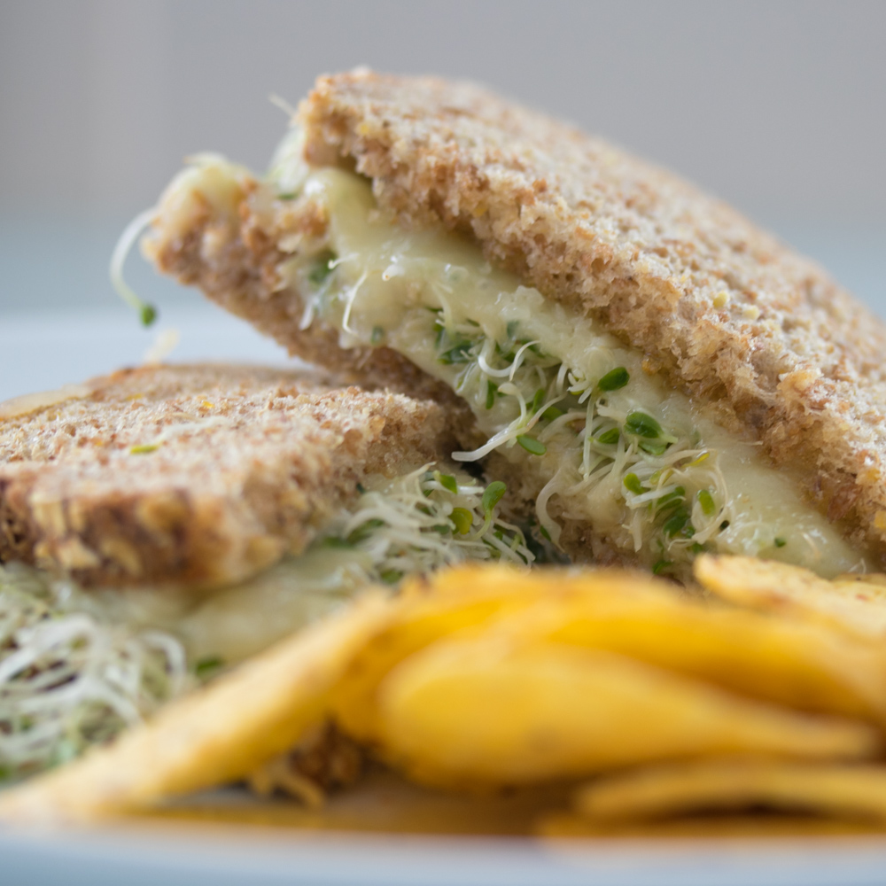 Toasted cheese and sprout sandwich with chips from It's Another Beautiful Day