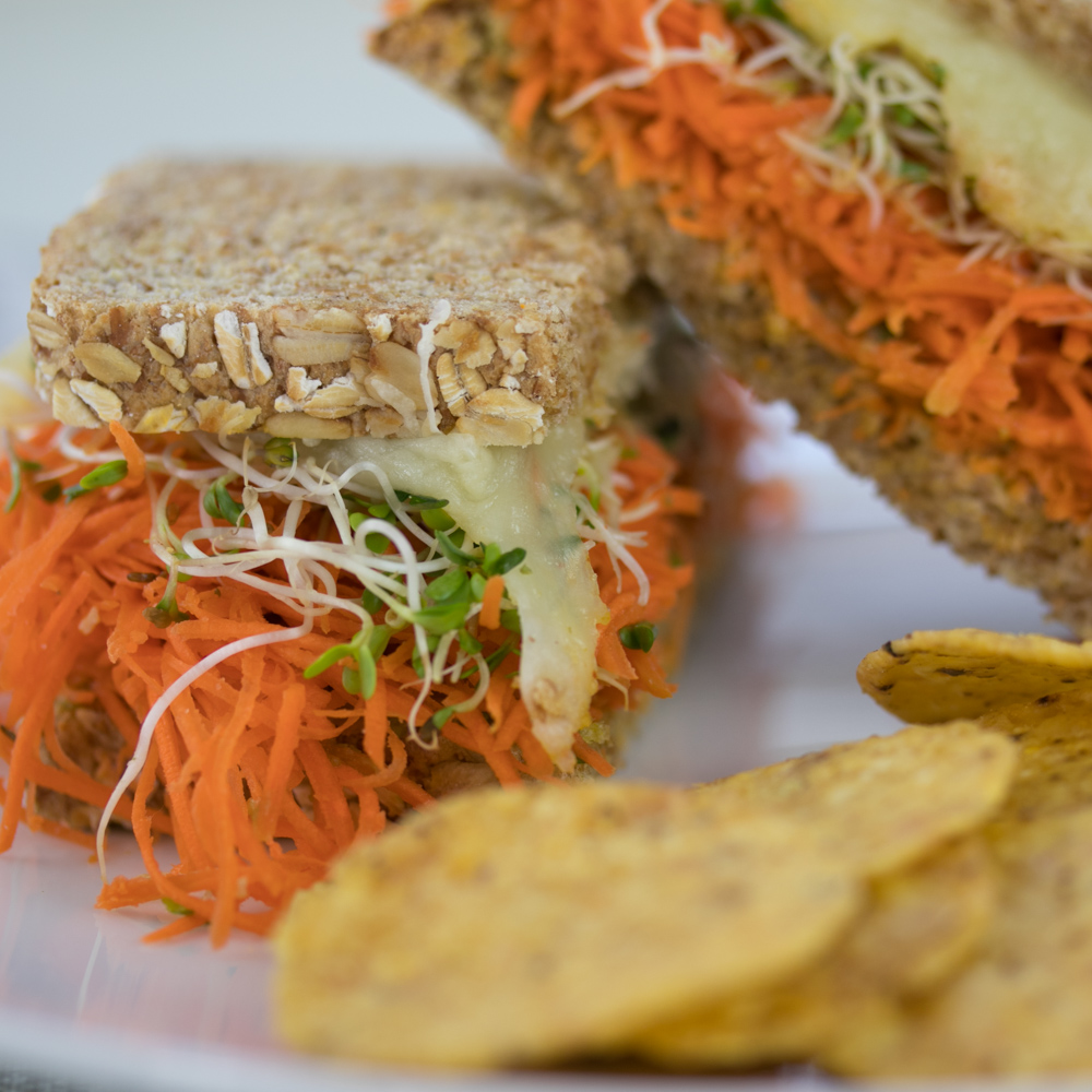 Super Sandwich on toasted 7-grain bread with sprouts, avocado and white cheddar